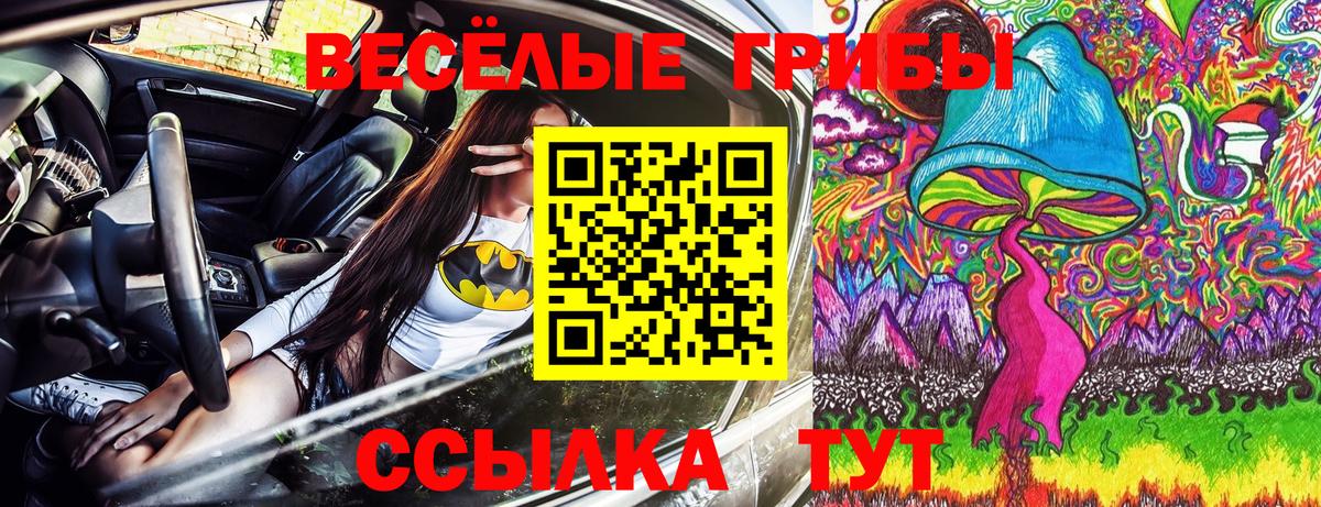 Сибай  Галлюциногенные грибы мухоморы  наркота  Вход с VPN 